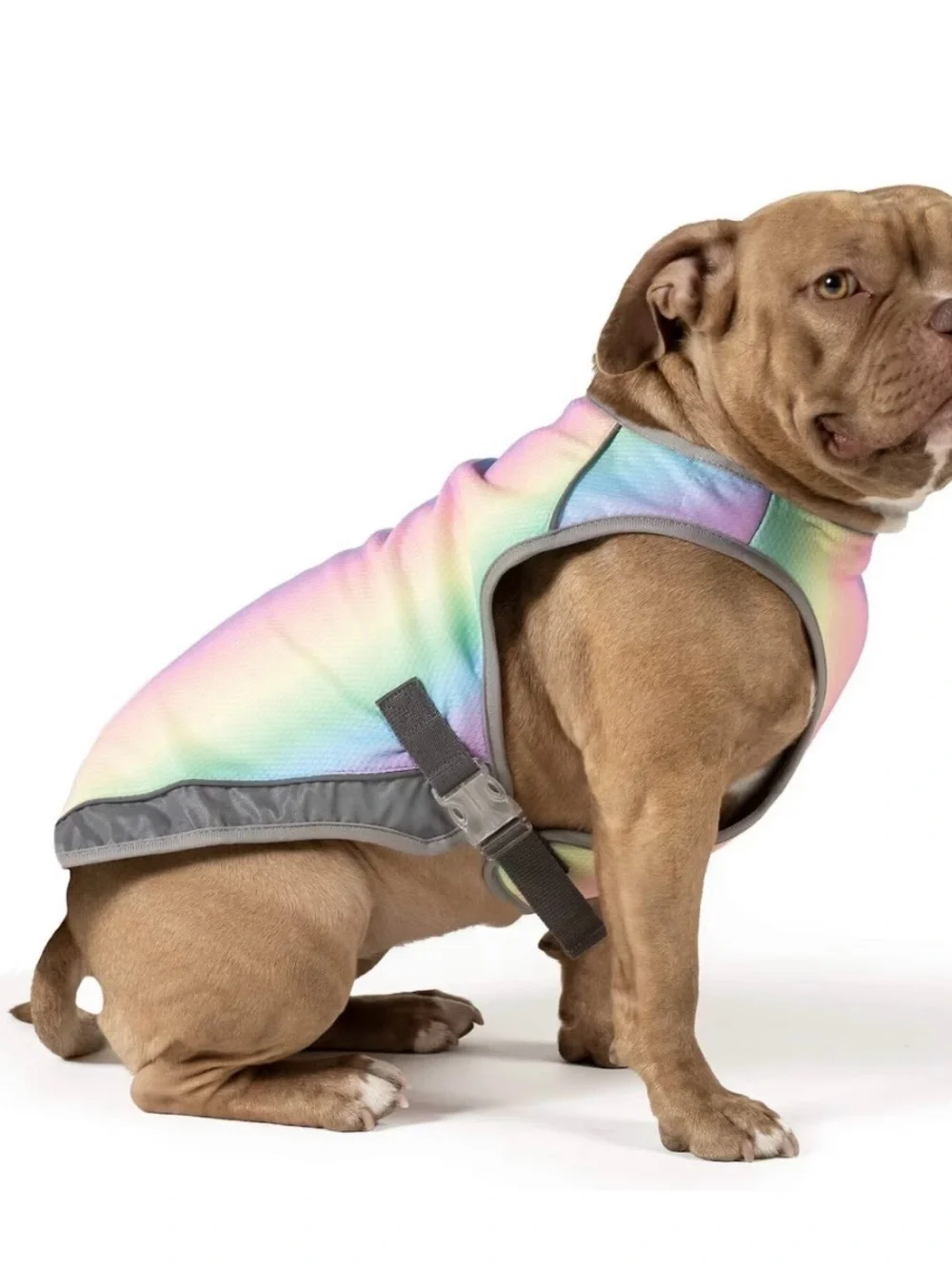 Canada Pooch rainbow dog cooling vest (12”) brand new unopened in packet